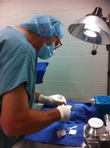 Alafair Biosciences Dr. Dan Peterson, Alafair's CEO and practicing neurosurgeon, performs surgical hydrogel testing in an animal model.